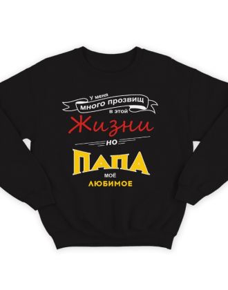 Свитшот в подарок для папы с надписью "У меня много прозвищ, но папа моё любимое"